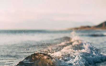 mourad-saadi-GyDktTa0Nmw-unsplash